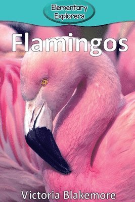 Victoria Blakemore - Flamingos, Häftad. Tillgänglighet: Lägg i varukorg