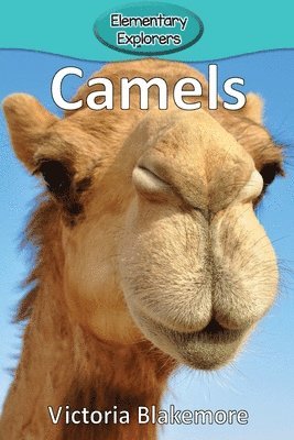 Victoria Blakemore - Camels, Häftad. Tillgänglighet: Lägg i varukorg