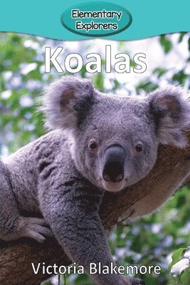 Victoria Blakemore - Koalas, Häftad. Tillgänglighet: Lägg i varukorg