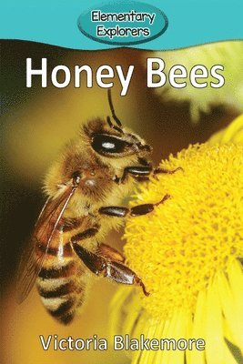 Victoria Blakemore - Honey Bees, Häftad. Tillgänglighet: Lägg i varukorg