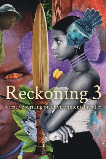Bernard M. Cox, Danika Dinsmore - Reckoning 3, E-bok
