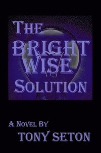 Bright Wise Solution