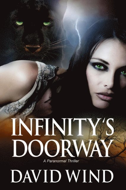 David Wind - Infinity's Doorway, E-bok