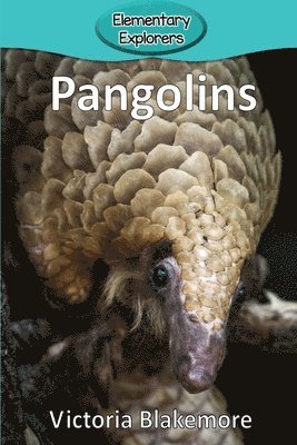 Victoria Blakemore - Pangolins, Häftad. Tillgänglighet: Lägg i varukorg