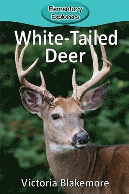 Victoria Blakemore - White-Tailed Deer, Häftad. Tillgänglighet: Lägg i varukorg
