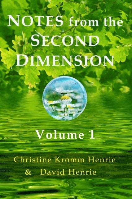 David J Henrie, Christine Kromm Henrie - Notes from the Second Dimension, E-bok