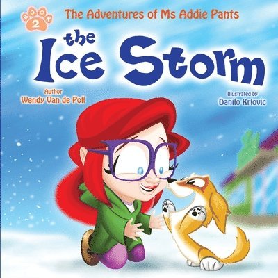 Wendy Van De Poll - Ice Storm, Häftad. Tillgänglighet: Lägg i varukorg