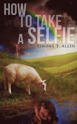 Simone Allen - How to Take a Selfie, Häftad