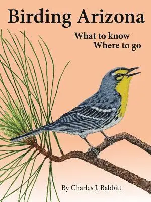 Birding Arizona: What to Know, Where to Go