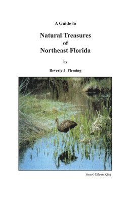 Beverly J. Fleming, D. Brandenburg Susan - A Guide to Natural Treasures of Northeast Florida, Häftad