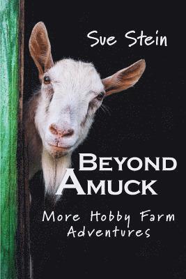 Sue Stein - Beyond Amuck, Häftad