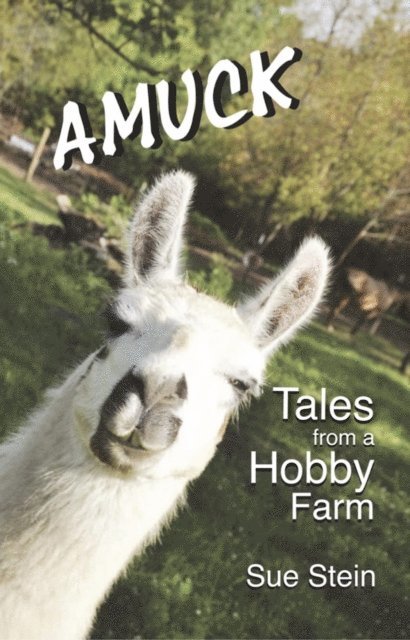 Sue Stein - Amuck: Tales From a Hobby Farm, E-bok