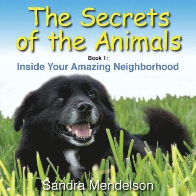 Sandra Mendelson - Secrets of the Animals, Häftad. Tillgänglighet: Lägg i varukorg