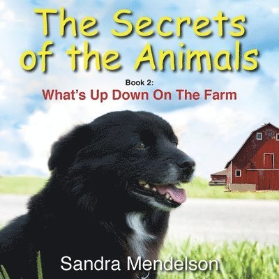 Secrets of The Animals