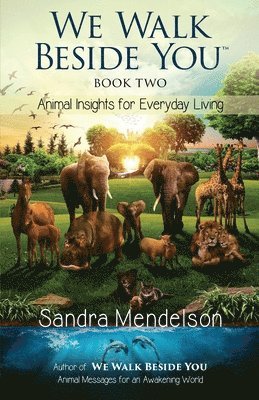 Sandra Mendelson - We Walk Beside You Book 2, Häftad. Tillgänglighet: Lägg i varukorg