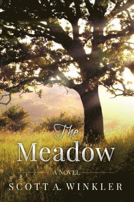 Scott a. Winkler - The Meadow, Häftad