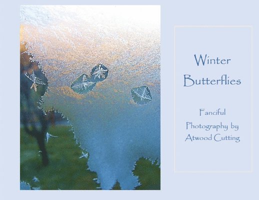 Winter Butterflies, Häftad