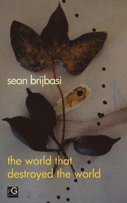 Sean Adrian Brijbasi - world that destroyed the world, Häftad