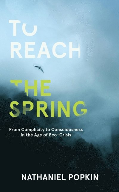 Nathaniel Popkin - To Reach the Spring: From Complicity to Consciousness in the Age of Eco-Crisis, E-bok