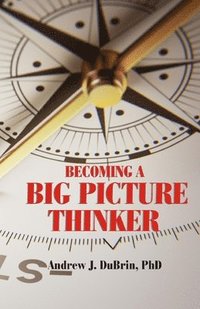Becoming a Big Picture Thinker