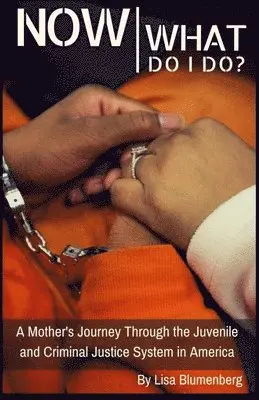 Now What Do I Do?: A Mother's Journey Through the Juvenile and Criminal Justice System in America