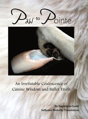 Sallyann Mulcahy - Paw to Pointe, Inbunden