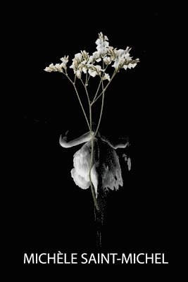 Michèle Saint-Michel - Grief Is an Origami Swan, Häftad. Tillgänglighet: Lägg i varukorg