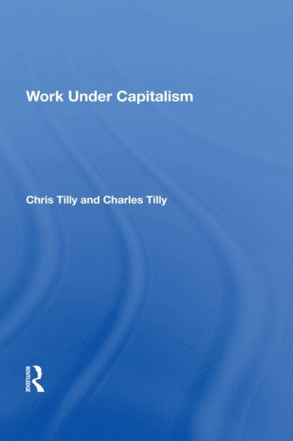 Chris Tilly - Work Under Capitalism, E-bok