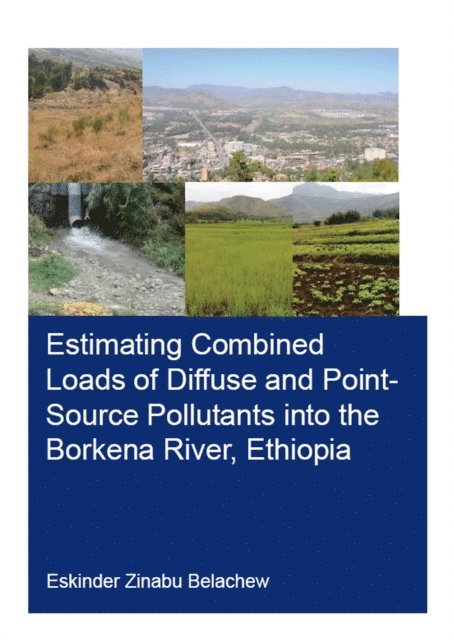 Eskinder Belachew - Estimating Combined Loads of Diffuse and Point-Source Pollutants Into the Borkena River, Ethiopia, E-bok