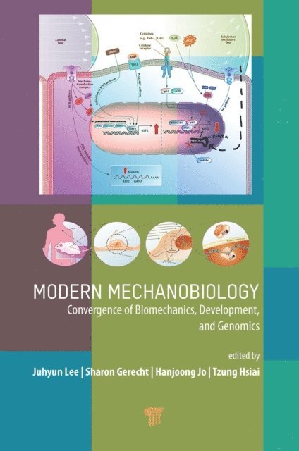 Tzung Hsiai, Hanjoong Jo, Sharon Gerecht, Juhyun Lee - Modern Mechanobiology, E-bok
