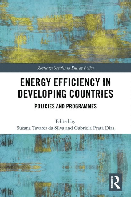 Gabriela Prata Dias, Suzana Tavares da Silva - Energy Efficiency in Developing Countries, E-bok