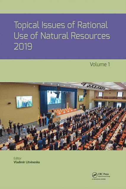 Vladimir Litvinenko - Topical Issues of Rational Use of Natural Resources 2019, Volume 1, E-bok