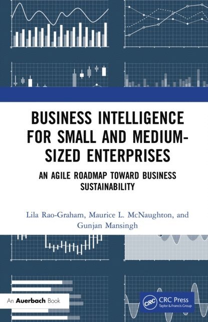 Gunjan Mansingh, Maurice L. McNaughton, Lila Rao-Graham - Business Intelligence for Small and Medium-Sized Enterprises, E-bok