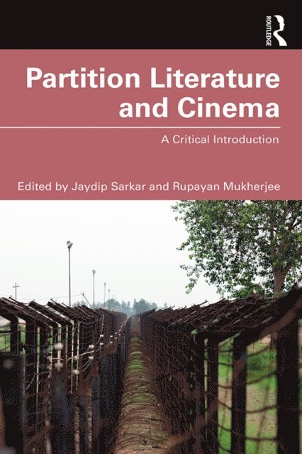 Rupayan Mukherjee, Jaydip Sarkar - Partition Literature and Cinema, E-bok