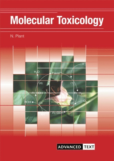 Nick Plant - Molecular Toxicology, E-bok