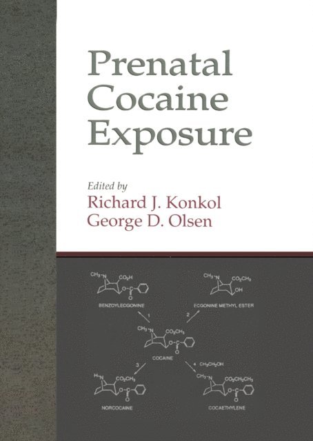George D. Olsen, Richard J. Konkol - Prenatal Cocaine Exposure, E-bok