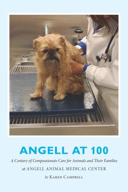 Karen Campbell - Angell at 100, E-bok