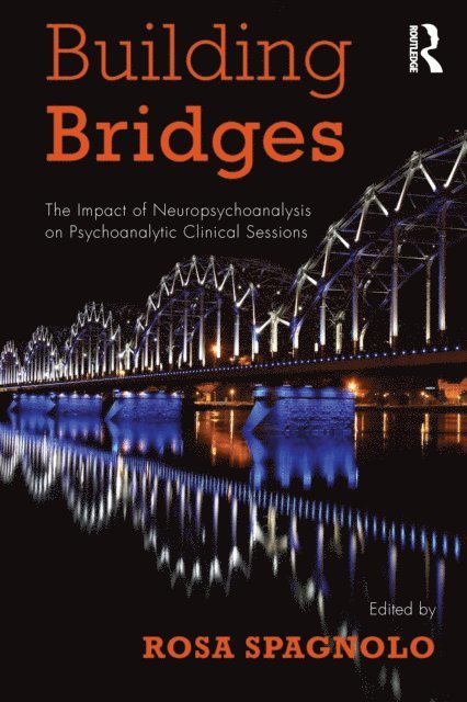 Rosa Spagnolo - Building Bridges, E-bok