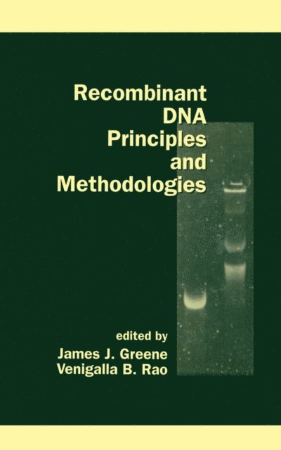 James Greene - Recombinant DNA Principles and Methodologies, E-bok