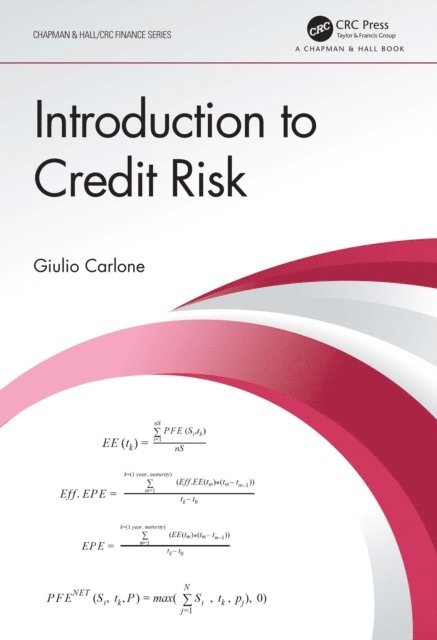 Giulio Carlone - Introduction to Credit Risk, E-bok
