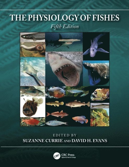David H. Evans, Suzanne Currie - Physiology of Fishes, E-bok