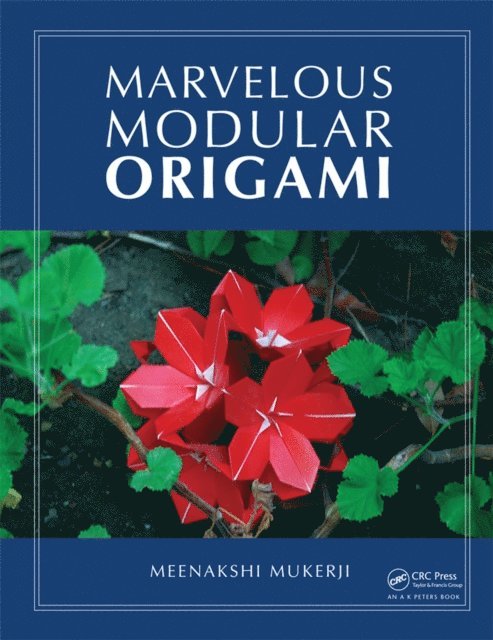 Meenakshi Mukerji - Marvelous Modular Origami, E-bok