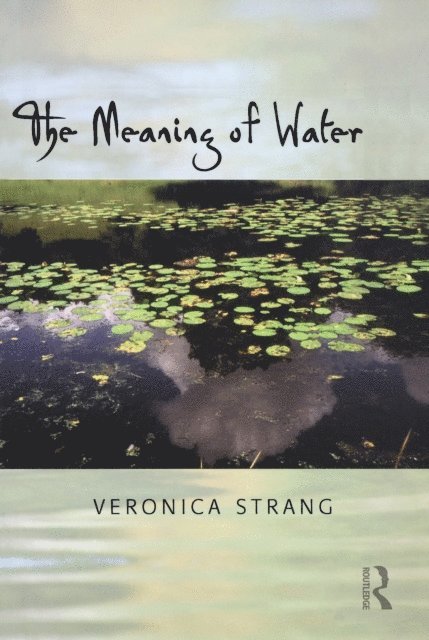 Veronica Strang - Meaning of Water, E-bok