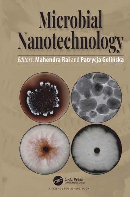 Patrycja Golinska, Mahendra Rai - Microbial Nanotechnology, E-bok