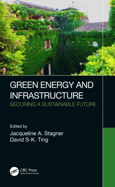 David S-K. Ting, Jacqueline A. Stagner - Green Energy and Infrastructure, E-bok