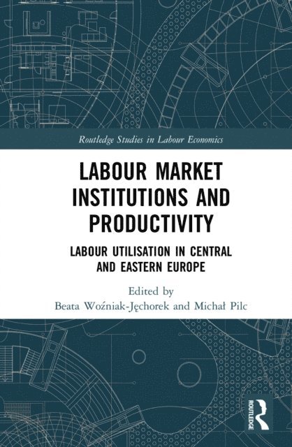 Michal Pilc, Beata Wozniak-Jechorek - Labour Market Institutions and Productivity, E-bok