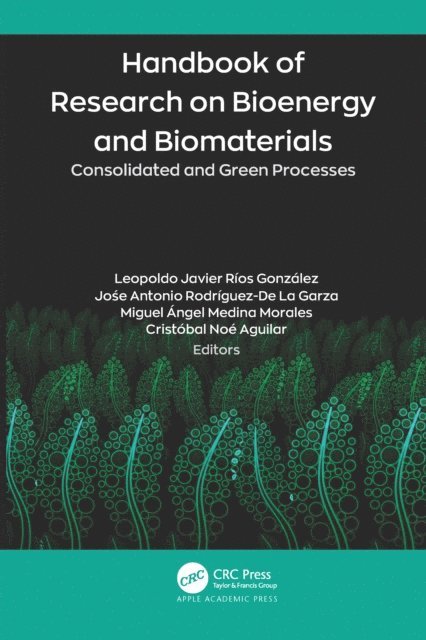Cristobal Noe Aguilar, Miguel Angel Medina Morales, Jose Antonio Rodriguez-De La Garza, Leopoldo Javier Rios Gonzalez - Handbook of Research on Bioenergy and Biomaterials, E-bok