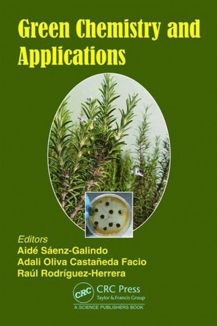 Raul Rodriguez-Herrera, Adali Facio, Aide SA!enz-Galindo - Green Chemistry and Applications, E-bok