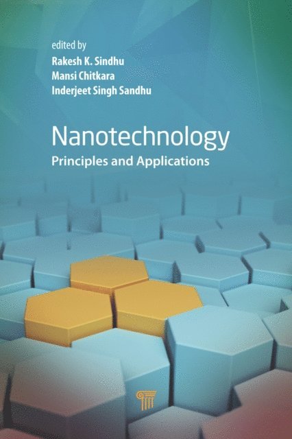 Inderjeet Singh Sandhu, Mansi Chitkara, Rakesh K. Sindhu - Nanotechnology, E-bok