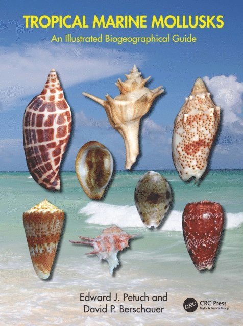 David P. Berschauer, Edward J. Petuch - Tropical Marine Mollusks, E-bok